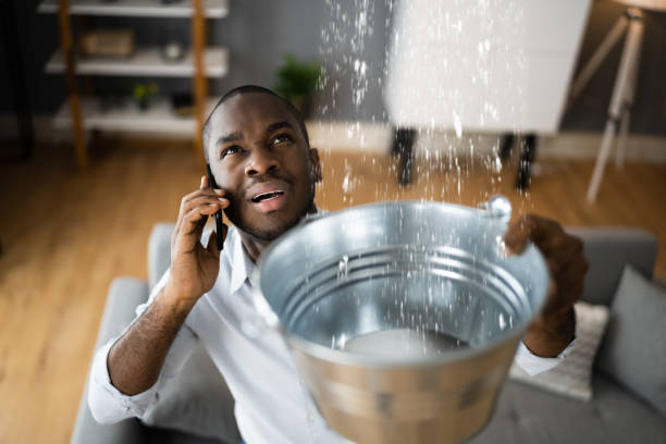 Best Professional water damage repair  in Fairfield, OH