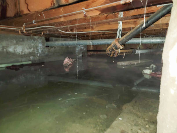 Best Sewage cleanup and water damage restoration  in Fairfield, OH