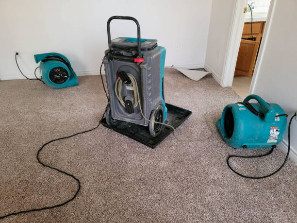 Best Water damage contractors near me  in Fairfield, OH
