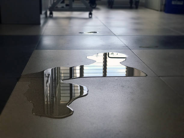 Best Commercial water damage restoration  in Fairfield, OH