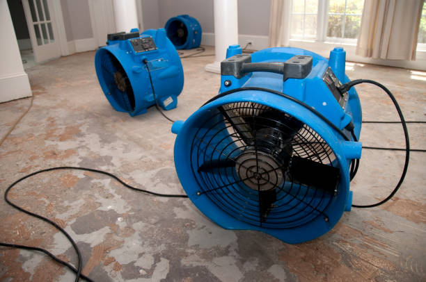 Best Carpet water damage restoration  in Fairfield, OH