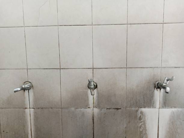 Best Water damage cleanup near me  in Fairfield, OH