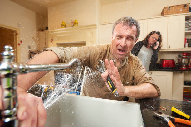 Best Mold removal after water damage  in Fairfield, OH